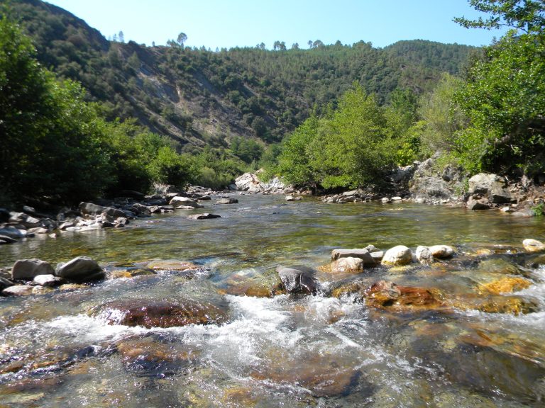 Le Gardon