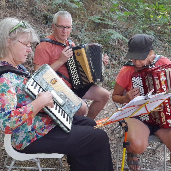 Stages d'accordéon